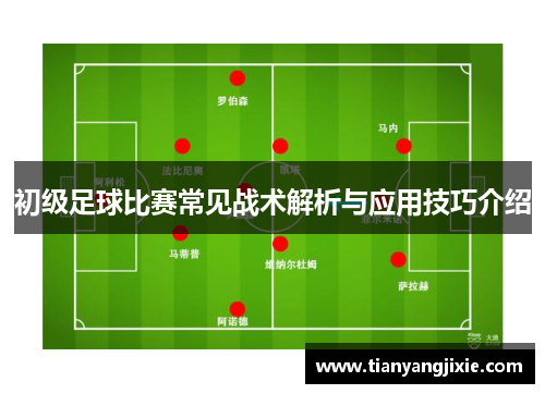 初级足球比赛常见战术解析与应用技巧介绍